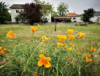 à vendre Maison Jonage