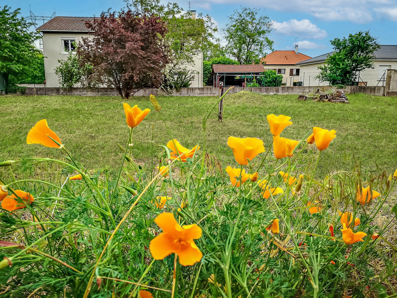 à vendre Maison Jonage - Photo 33