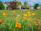 à vendre Maison Jonage