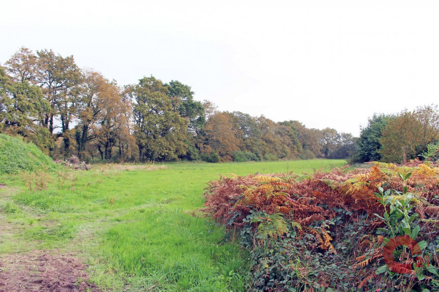 vente Terrain Pontchâteau - Photo 1