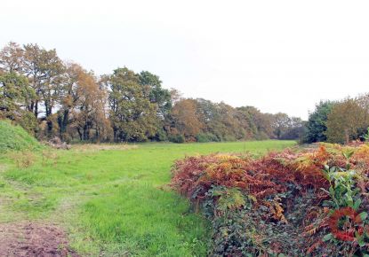 vente Terrain Pontchâteau