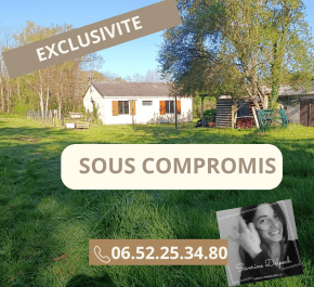 vente Selles Sur Cher