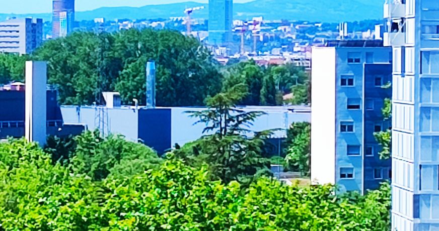 vente Appartement Vaulx En Velin