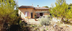 vente Maison Piolenc