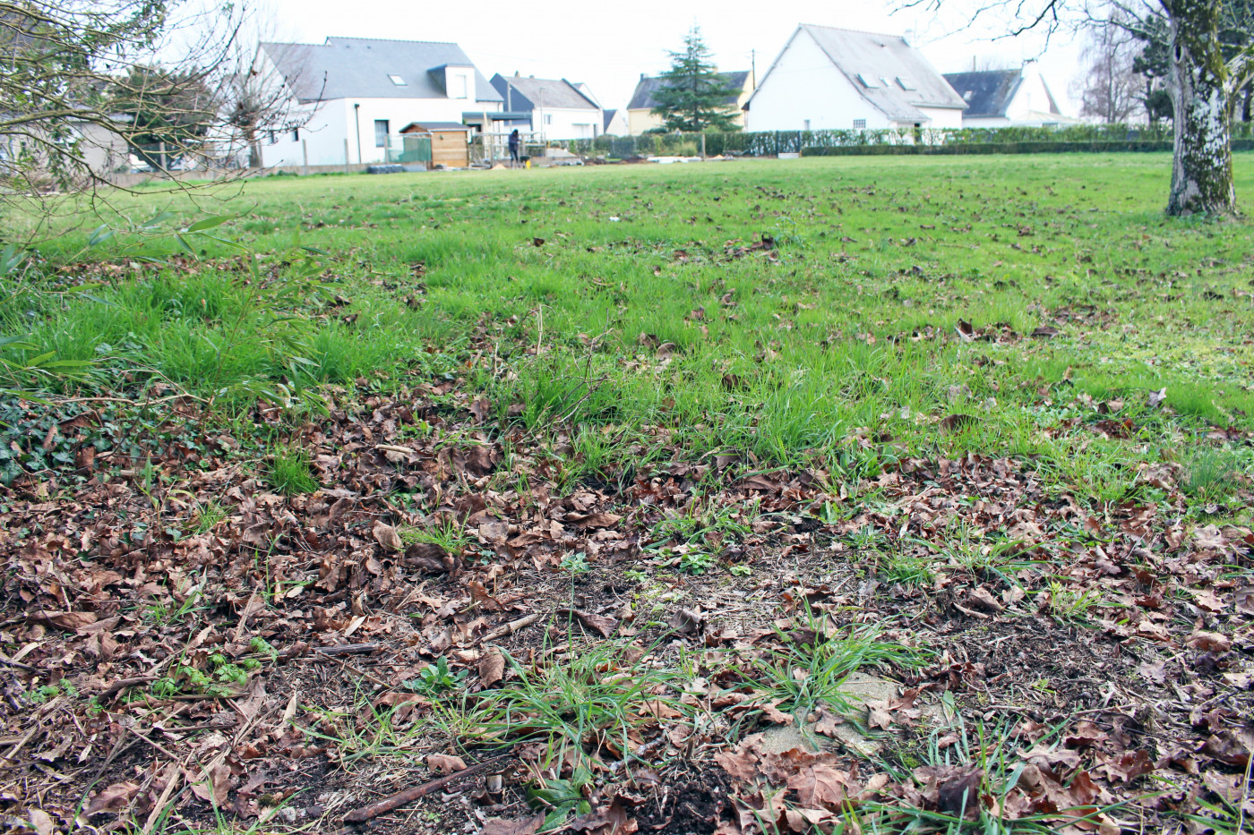 à vendre Terrain Sainte Reine De Bretagne - Photo 3