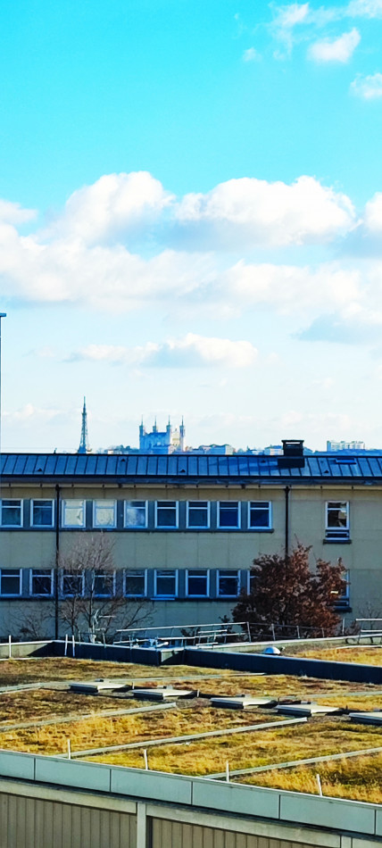 vente Appartement Lyon - Photo 14