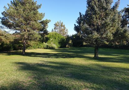 vente Terrain Sénas