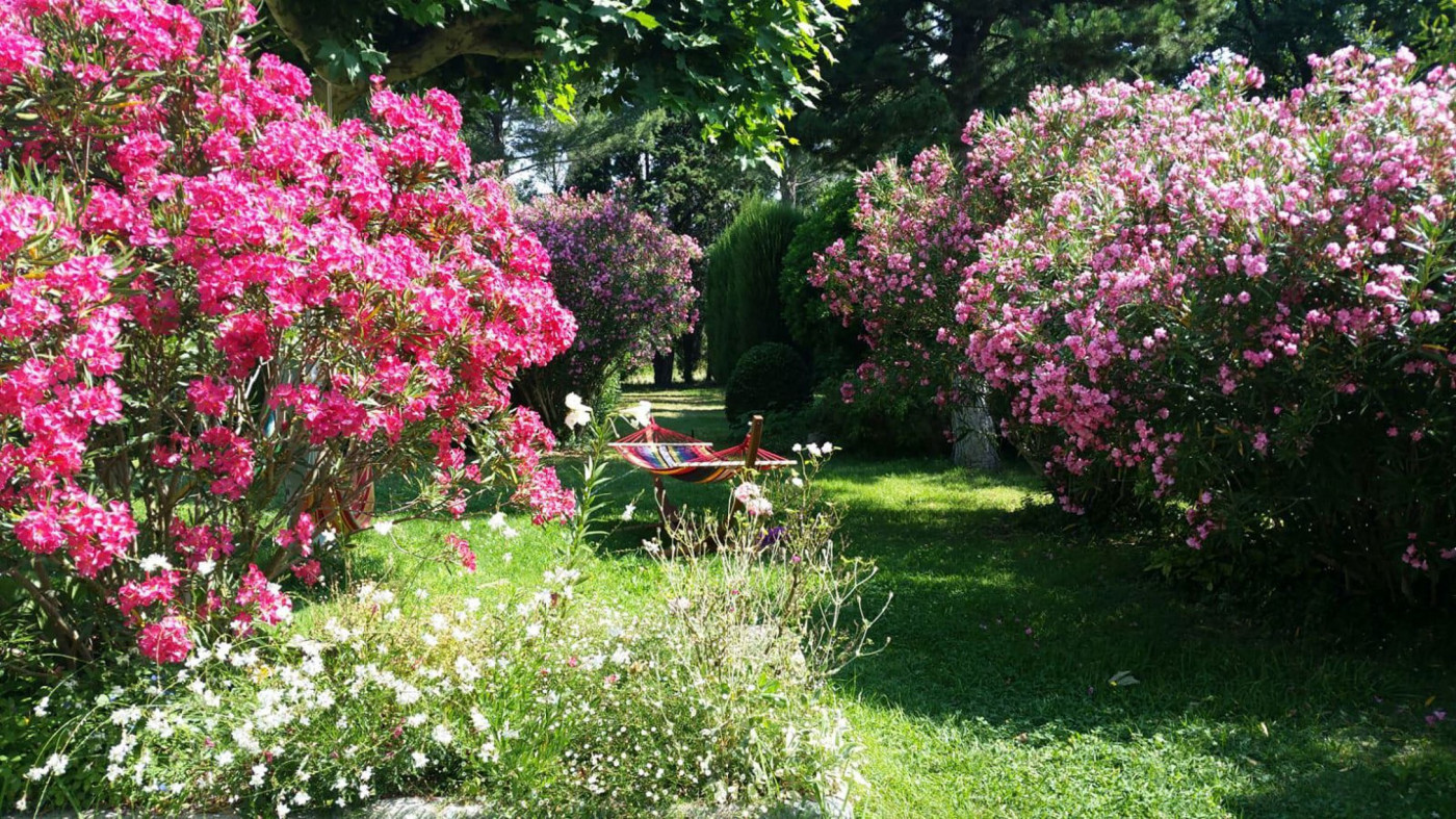 vente Maison Cabannes - Photo 10