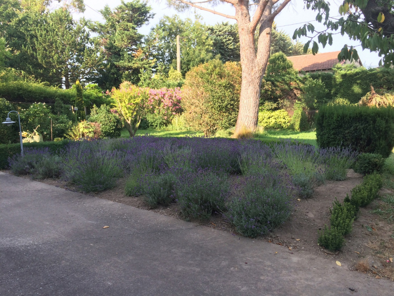 vente Maison Cabannes - Photo 8