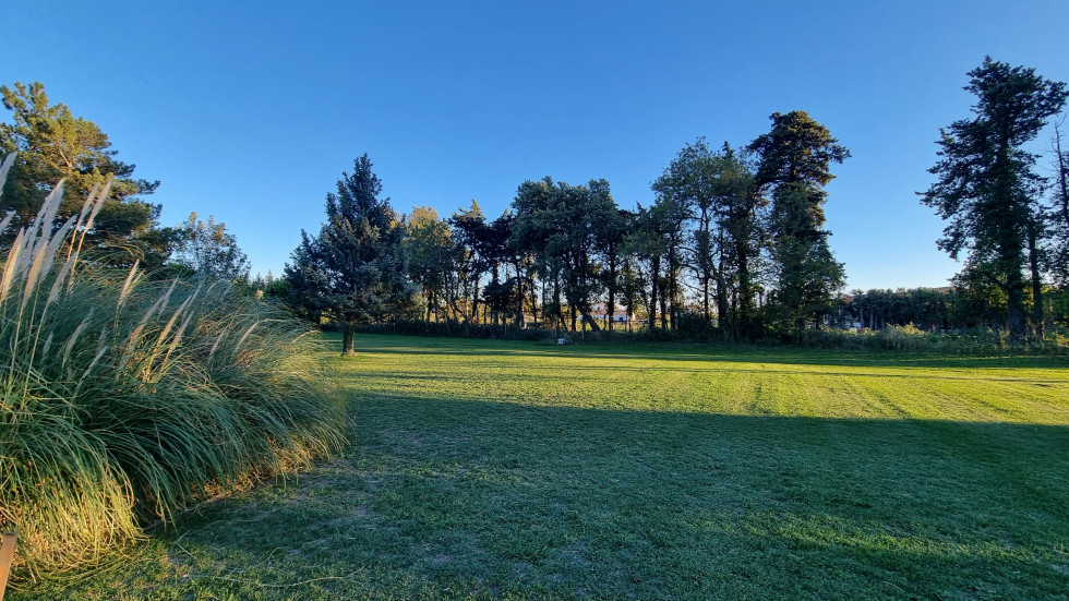 vente Terrain Sénas - Photo 1