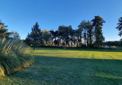 vente Terrain Sénas