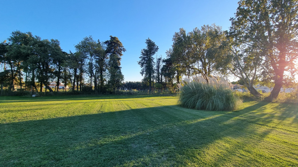 vente Terrain Sénas - Photo 2