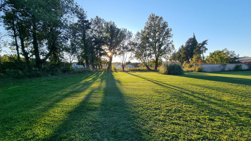 vente Terrain Sénas - Photo 3