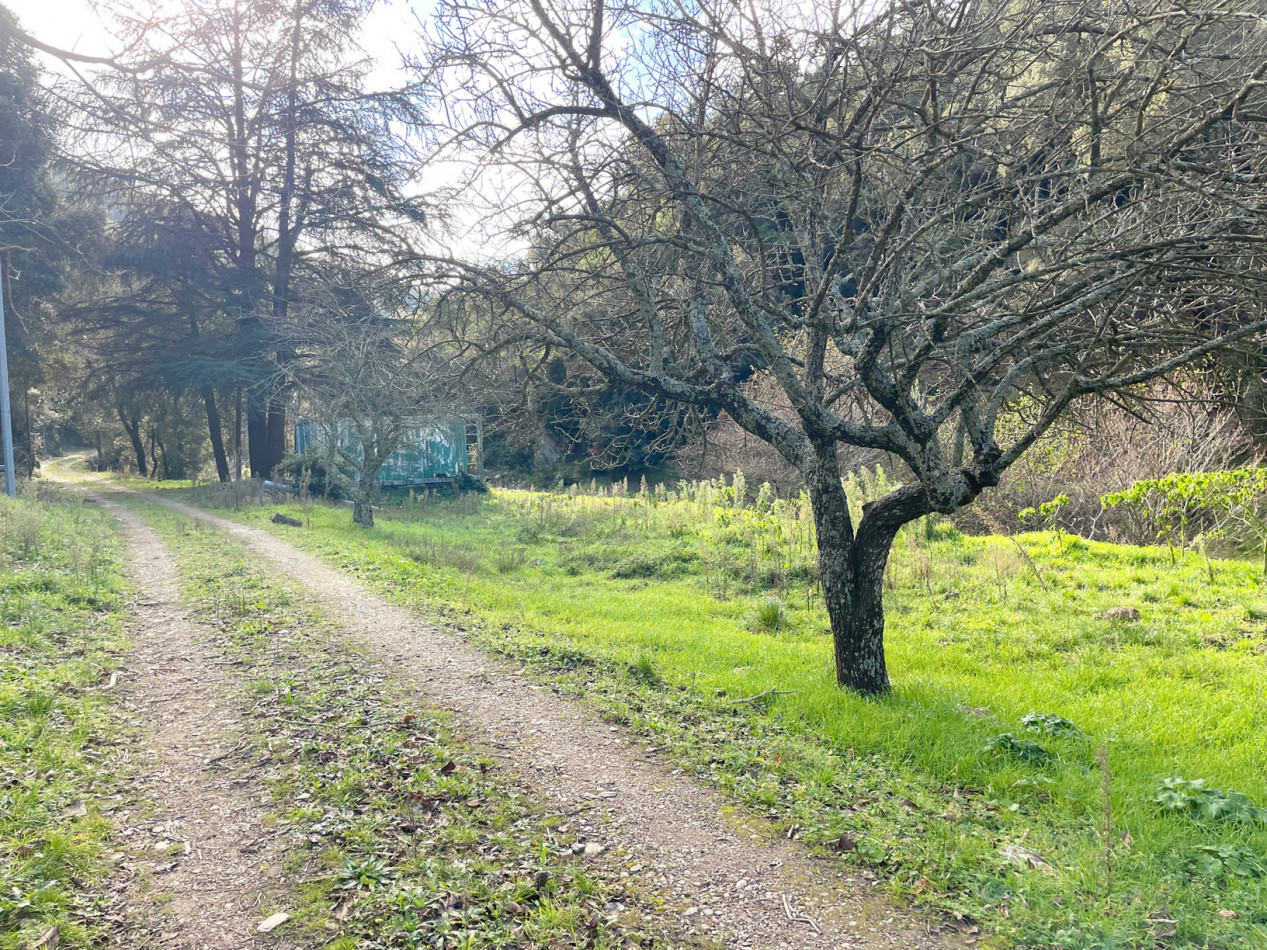 vente Maison Collobrières - Photo 12