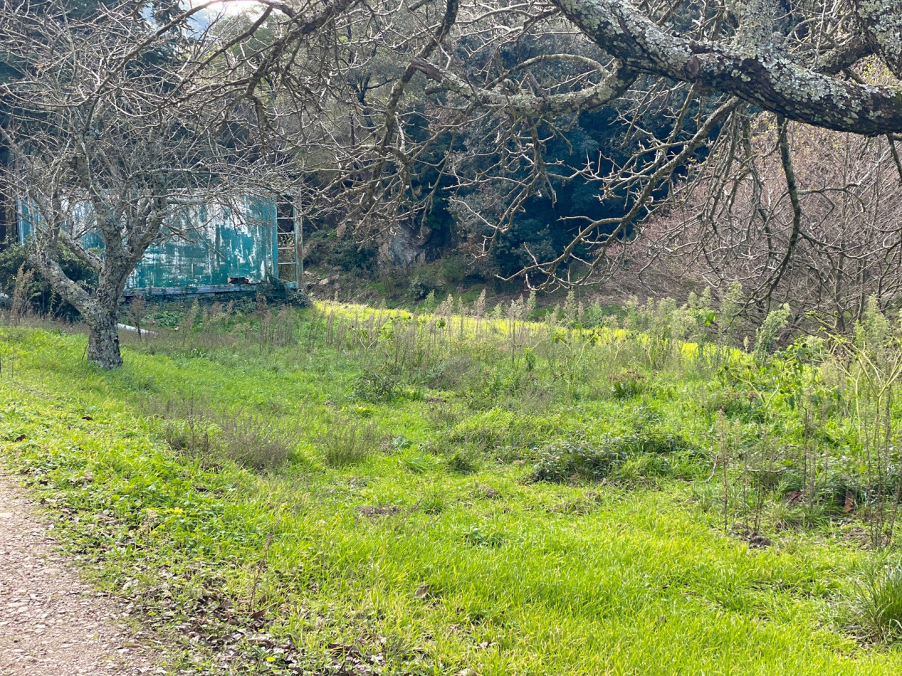 vente Maison Collobrières - Photo 13