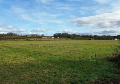 vente Terrain Sauveterre De Béarn