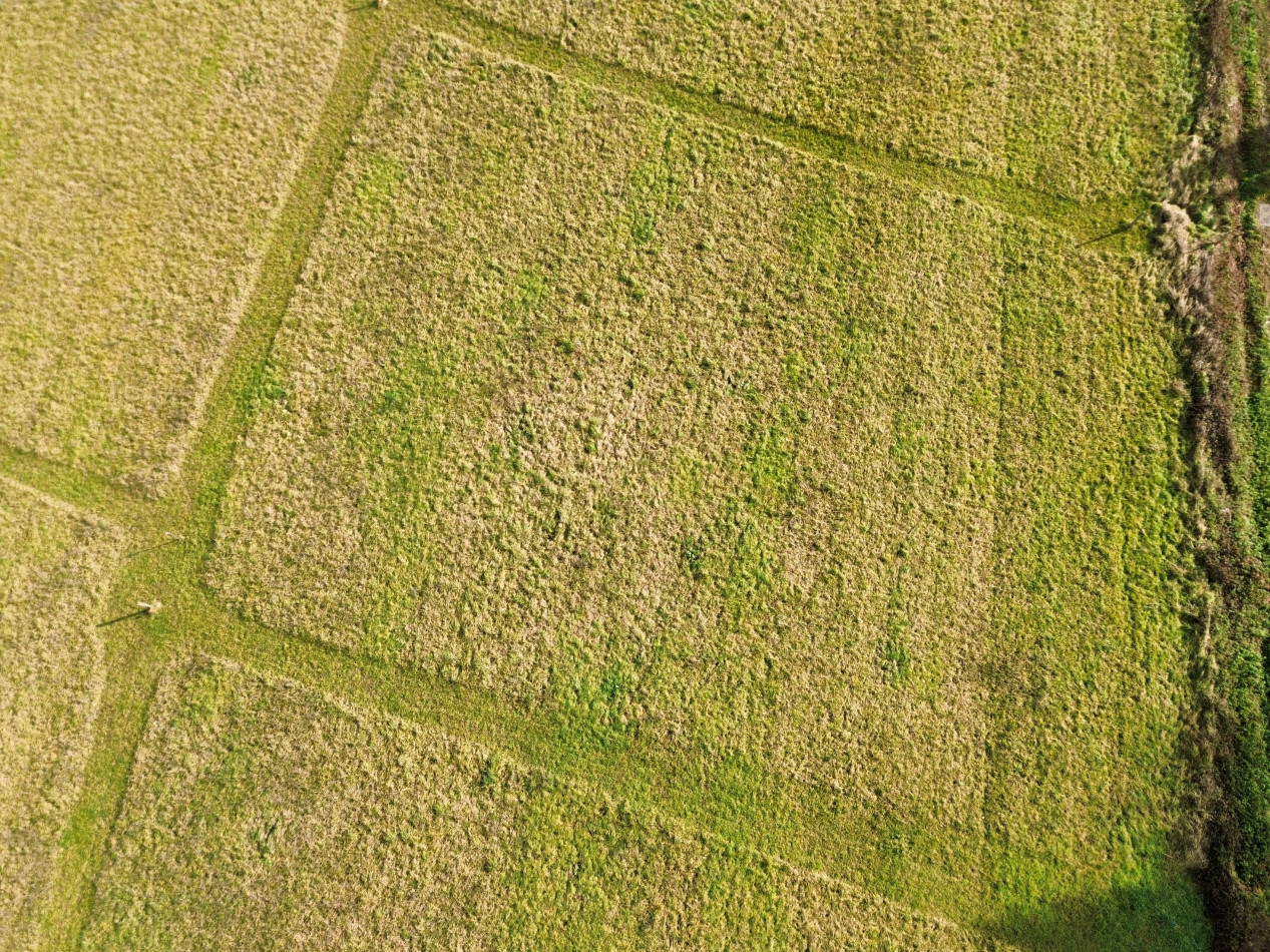 à vendre Terrain Sauveterre De Béarn - Photo 4