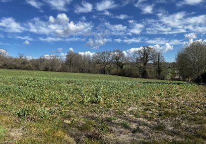vente Terrain Andrein