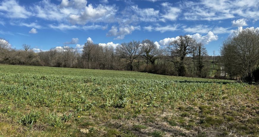 vente Terrain Andrein