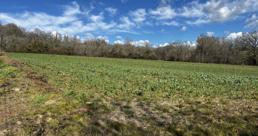 vente Terrain Andrein