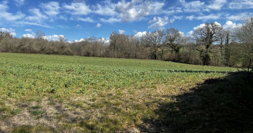 vente Terrain Andrein