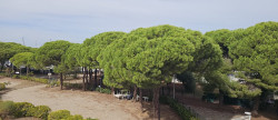vente Appartement ancien Port Camargue