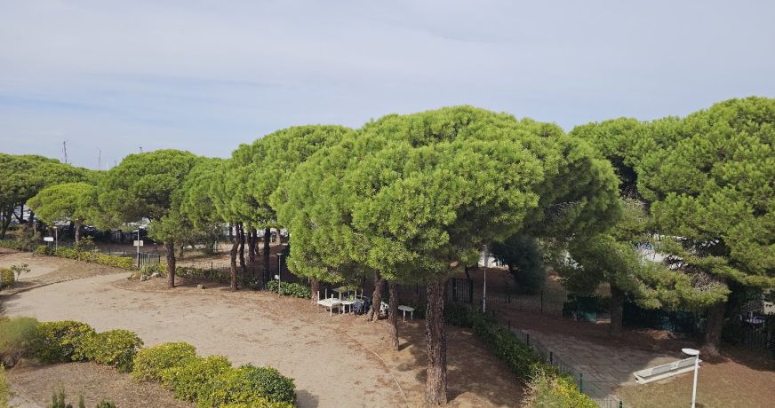 vente Appartement ancien Port Camargue