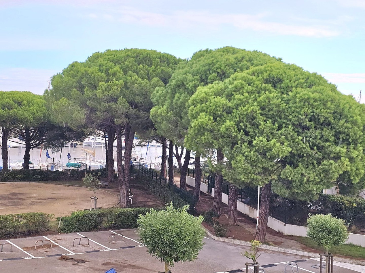 à vendre Appartement cabine Port Camargue - Photo 6