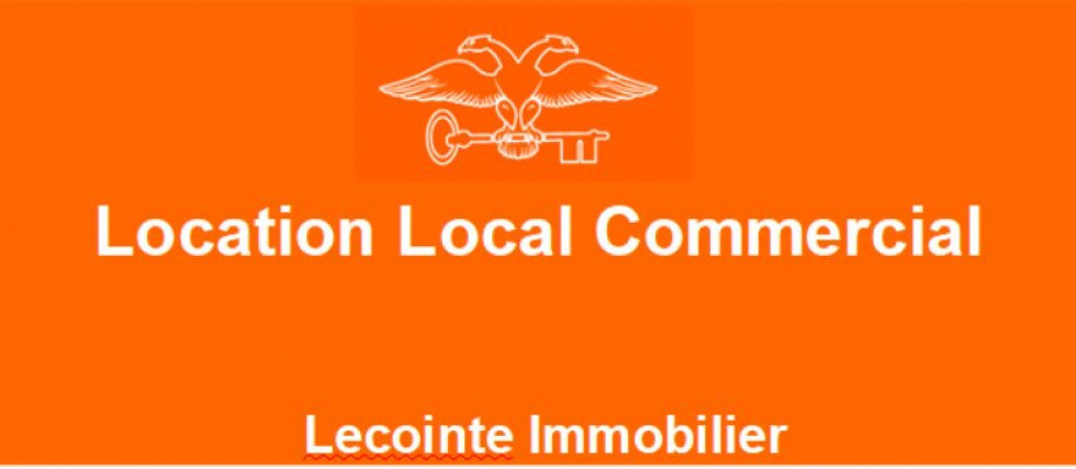 location Local commercial Toulouse - Photo 2
