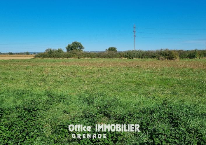 vente Terrain agricole Grenade