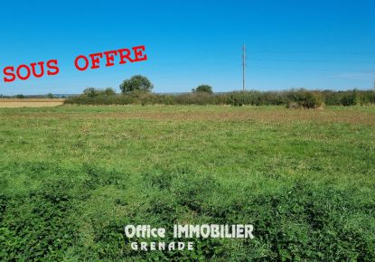 vente Terrain agricole Grenade