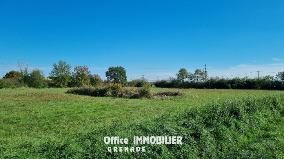 vente Terrain agricole Grenade - Photo 3