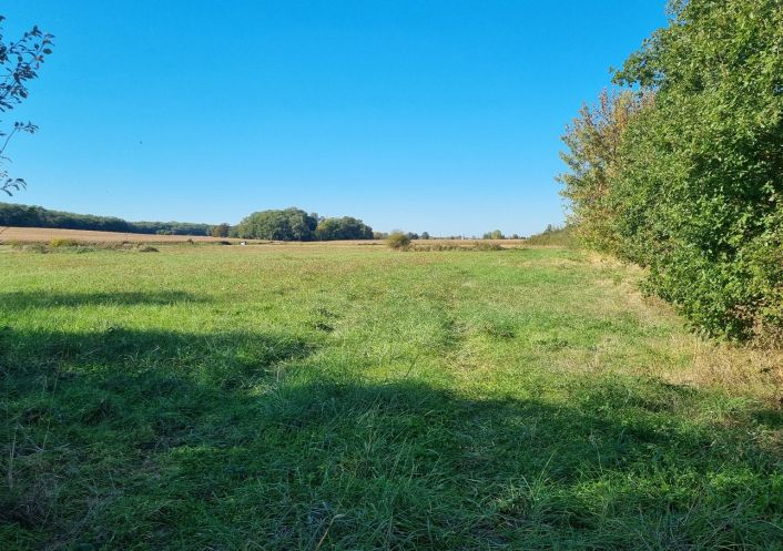 vente Terrain agricole Grenade