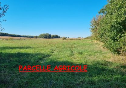 vente Terrain agricole Grenade