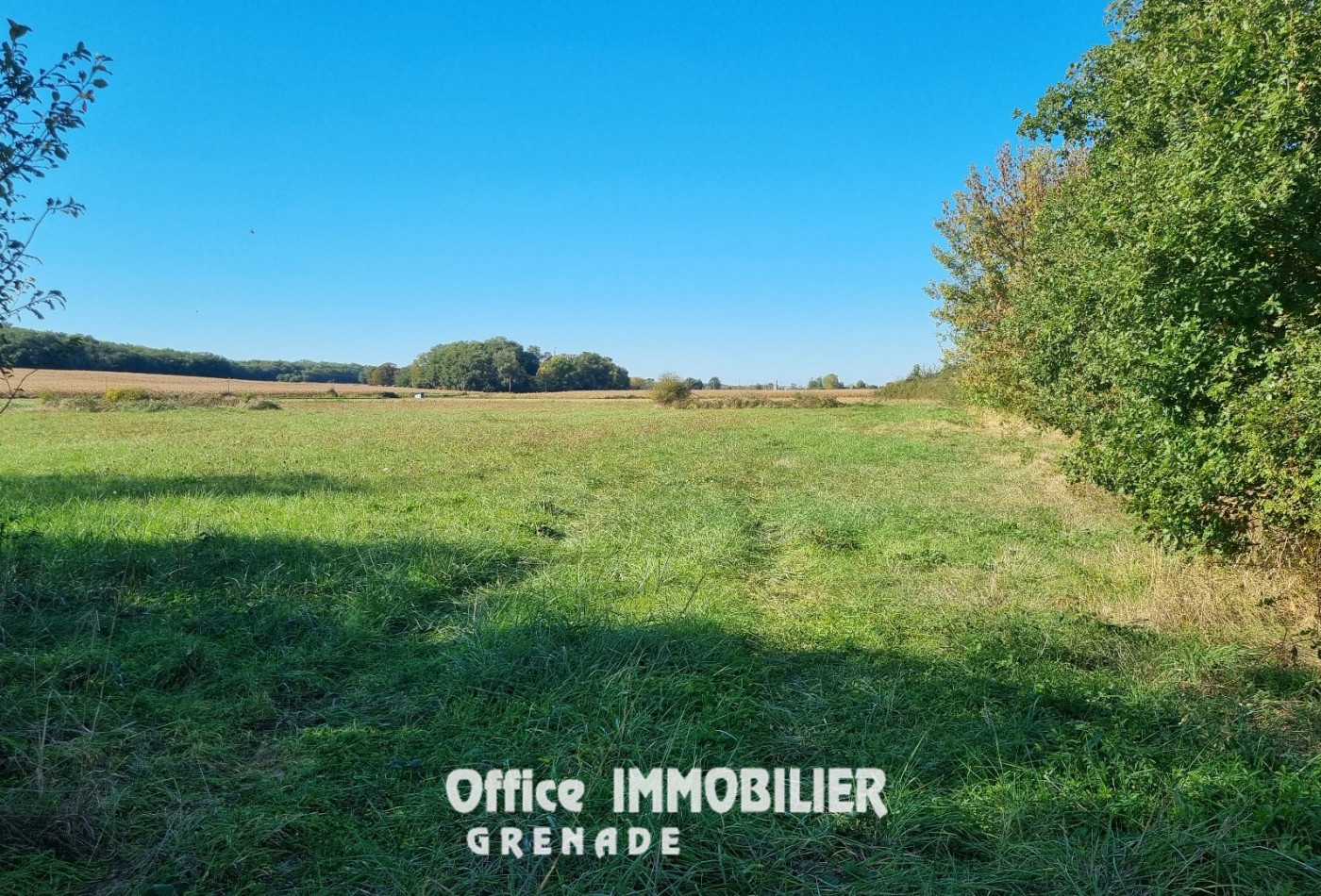 vente Terrain agricole Grenade - Photo 4