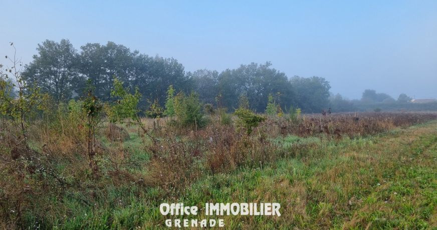 vente Terrain agricole Larra