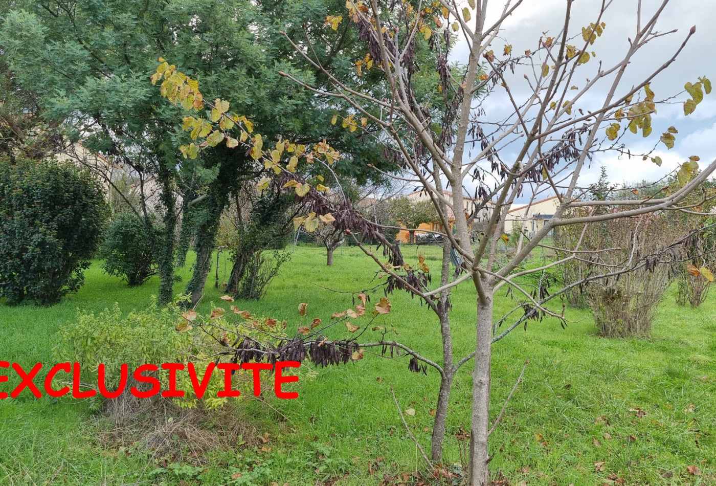 vente Terrain diffus (hors lotissement) Ondes - Photo 1