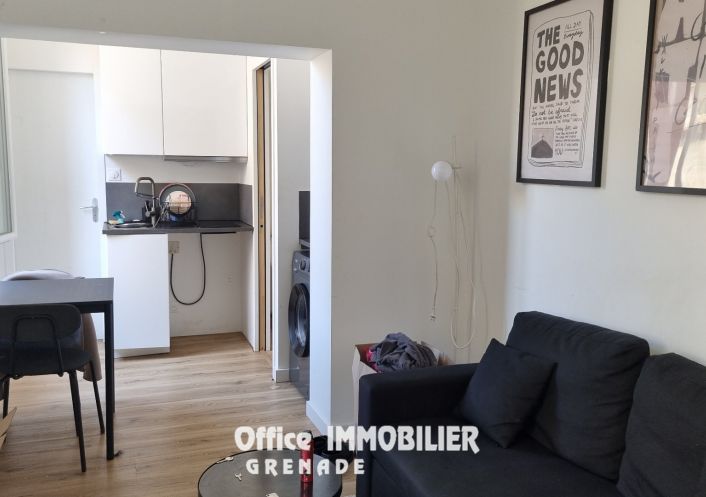 location Appartement Grenade