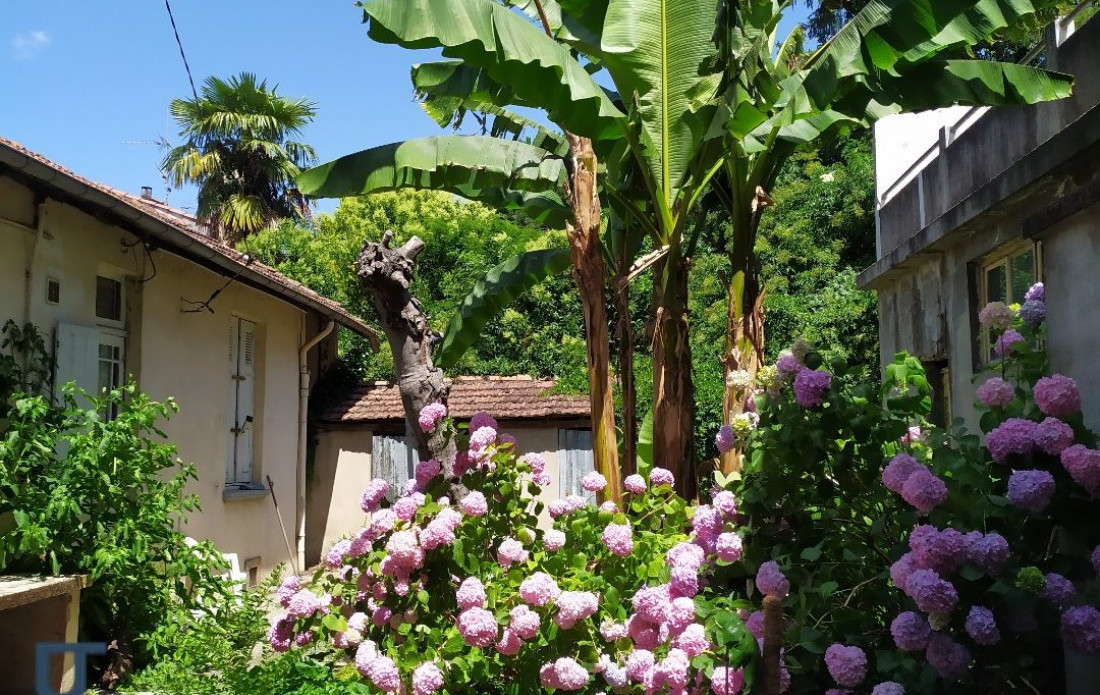 vente Maison Toulouse - Photo 3