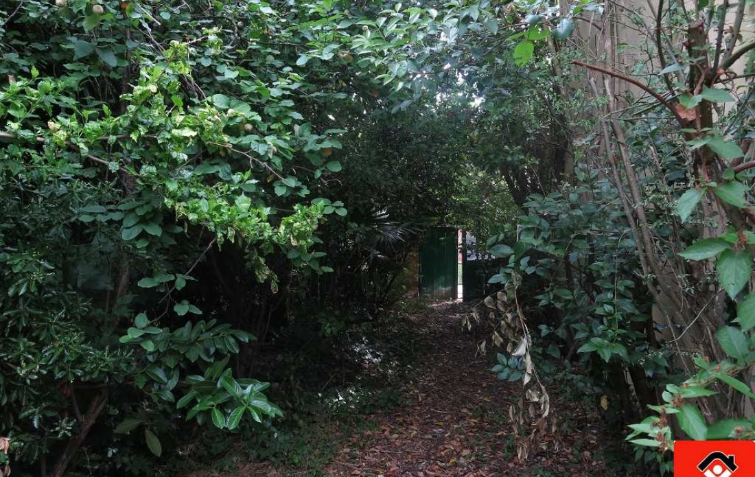 vente Terrain Toulouse - Photo 2