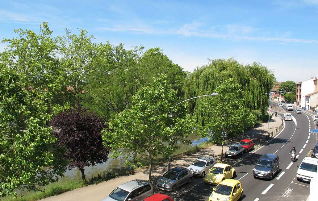 vente Appartement Toulouse - Photo 5