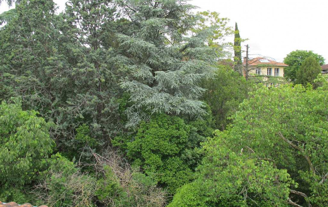 vente Appartement Toulouse - Photo 3