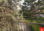 vente Appartement Toulouse