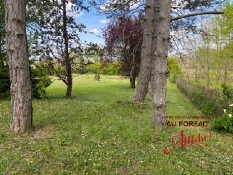 vente Terrain Cepet - Photo 5