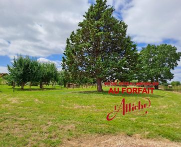 à vendre  Castelnau-d'estretefonds