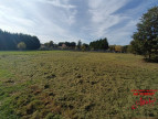 à vendre Terrain Carbonne