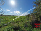 à vendre Terrain constructible Rieumes