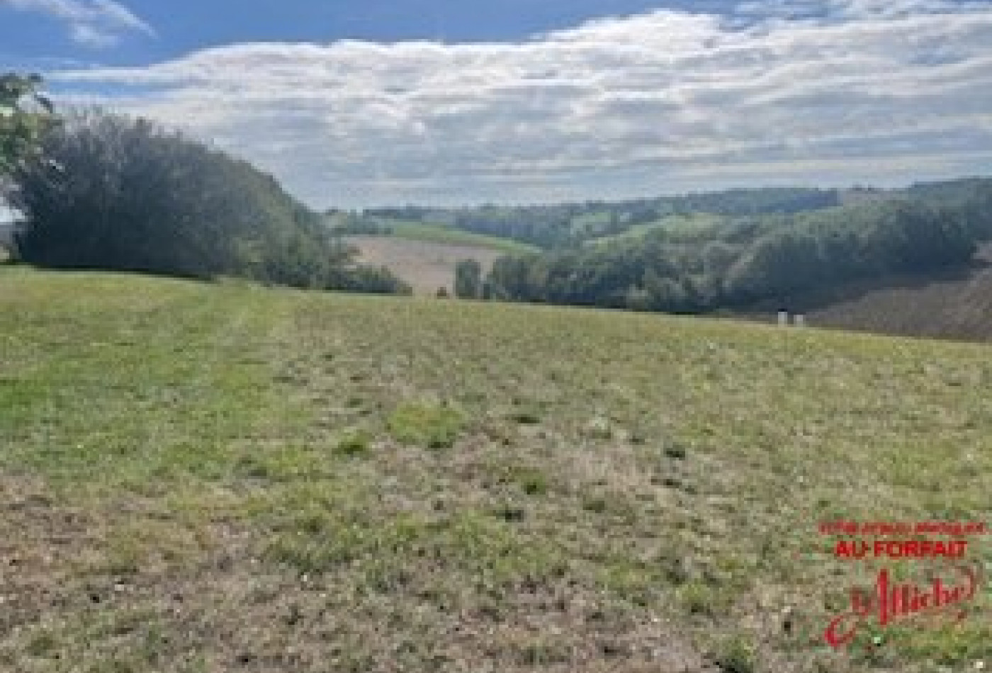 vente Terrain Beauvais Sur Tescou - Photo 2