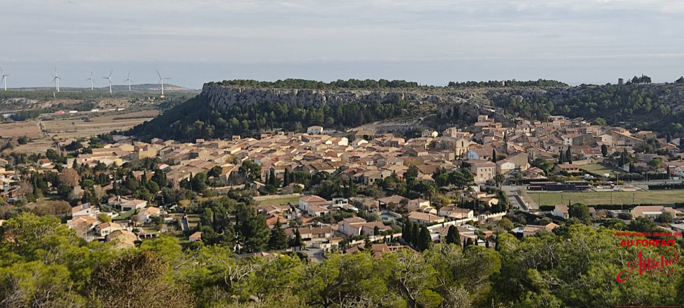 vente Terrain Roquefort Des Corbieres - Photo 2
