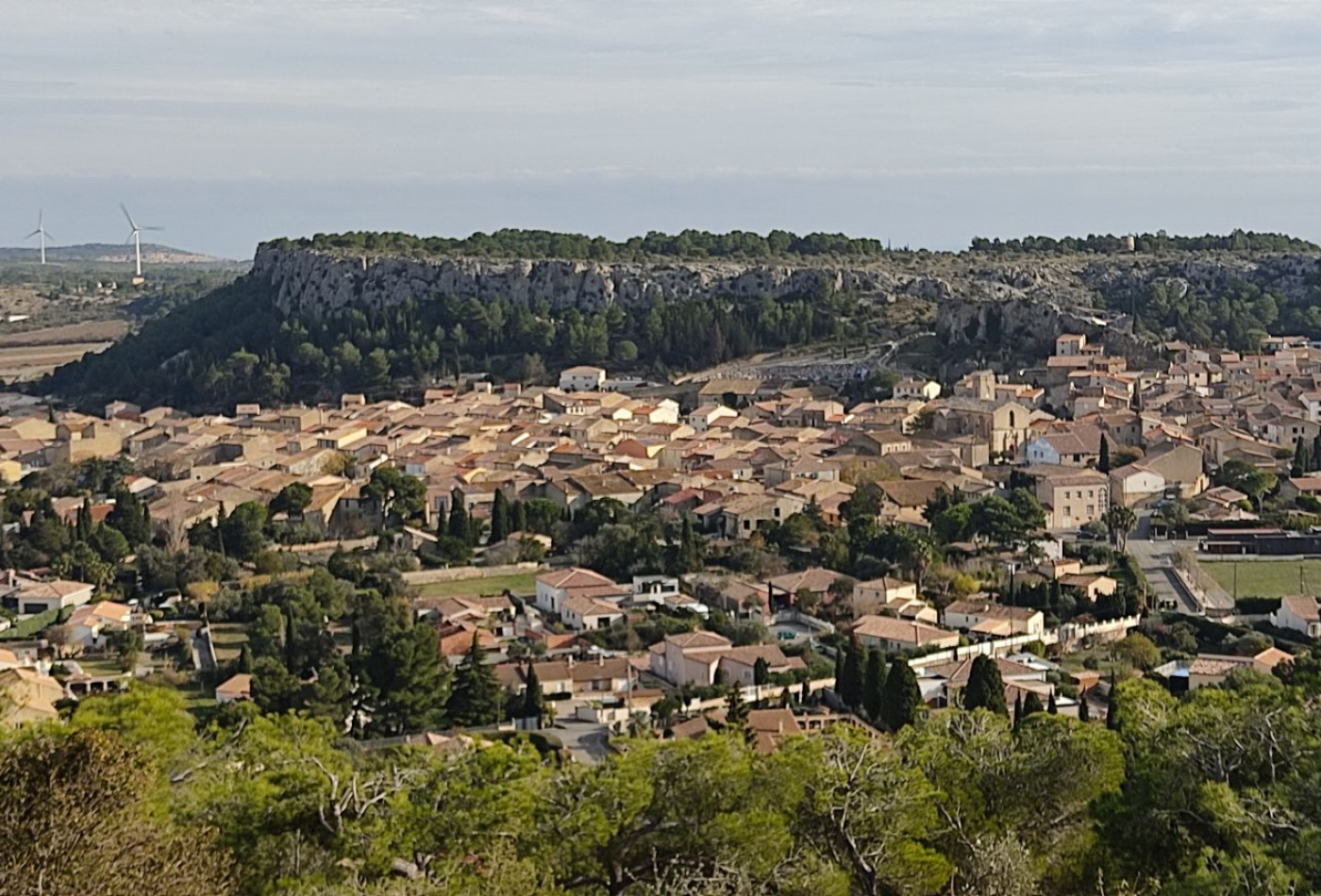 vente Terrain Roquefort Des Corbieres - Photo 2